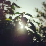 Christopher Catt - @learningtotakephotographs - Instagram