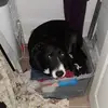 christopher chacon - @christopher.chaco5 - TikTok
