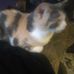 Chris Chaffee - Facebook