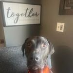 Christopher Chaisson - @christopherchaisson - Instagram