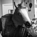 Christopher Chick - Facebook