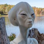 Christopher Chlebek - @christopherchlebek - Instagram