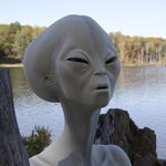 Christopher S Chlebek - @christopherschlebek - Instagram