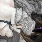 Christopher Choate - @choatez11 - Instagram