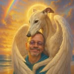 Christopher Max Ciccone - @christophercicconegreyhound - Instagram