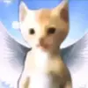 Christopher Claassen - @christopherclaassen795 - TikTok
