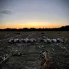 Christopher Cleary - @chris.cleary06 - TikTok