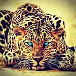 Christopher James Cleary - @theayahuascanjaguar - Instagram