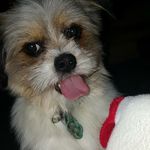 Clyde - @clyde_christopher - Instagram