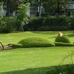 Christopher Coghlan - @coghlanchristopher - Instagram
