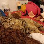 Christopher Colley - @christopher.colley.585 - Instagram