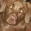 christopher cmela - @christophercmela - TikTok