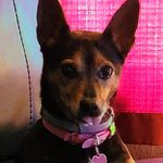 Christopher Compton - @christopher.compton.397 - Instagram