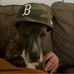 Chris Condon - Facebook