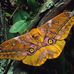 Christopher Conlan - Facebook