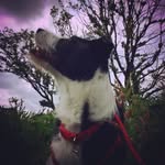 Chris Conwell - @christopher_conwell - Instagram