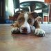 Christopher Cooke - Facebook