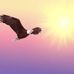 Christopher Cool - Facebook