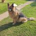 Christopher Coombes - Facebook