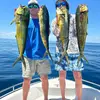 Chris Copley - @capt.chris772 - TikTok