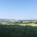 ChrisCoppeller - @christophercoppeller - Instagram