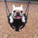 Christopher Coronado - Facebook