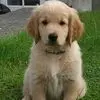 christophercorcor4 - @christopher.corco6 - TikTok