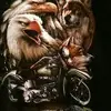 Christoph Cordts - @christoph.cordts - TikTok