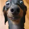 Chris Cork - @christopher.cork - TikTok