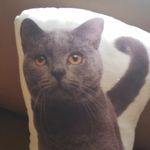 Christopher Cornwell - @christopher.cornwell.90 - Instagram