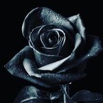 Christopher Coronado - @trash_15c - Instagram