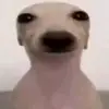 Christopher Coronado - @christopher.coron88 - TikTok