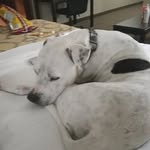Christopher Corry - @corry_christopher - Instagram