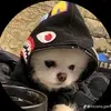 Christopher Cosme Landero - @christopher.cosme1 - TikTok