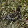 Chris - @christopher.cox131 - TikTok