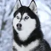 Christopher Cox - @christopher.cox62 - TikTok