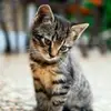 Christopher Cox - @christopher.cox4 - TikTok