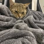 Christopher Criswell - @itschris184 - Instagram