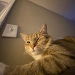 Christopher Criswell - @christophercriswell4202023 - Instagram