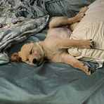 Christopher Crochet - Facebook