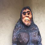 Christopher Dallas Longwell - @chrislongwell_16 - Instagram