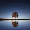 Christopherdave - @.christopherdave - TikTok