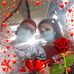 Christopher Ducate - Facebook