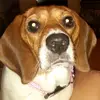Christy Dellinger - @christyd1123 - TikTok