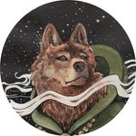 Christopher C DeSantis - @theoldwolfinmaine - Instagram