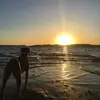 Christopher De Santi - @christopherdesantis99 - TikTok
