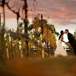 Christopher DeSantis - @christopher.desantis1 - Instagram