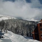 Christopher Desantis - @desantis.christopher - Instagram