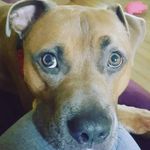 Christopher Dickens - @dickens846 - Instagram