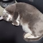 Christopher Dickinson - @chr1s_375_ - Instagram